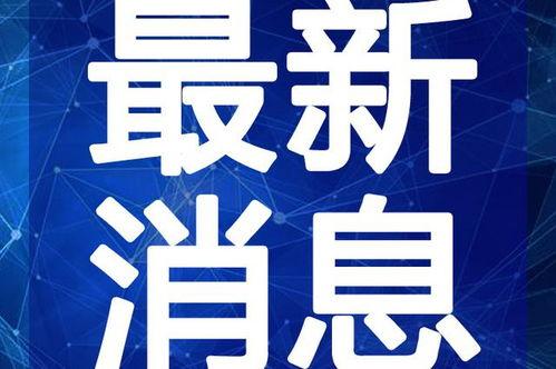 商丘最新爆料新闻视频下载,视频揭露惊人真相，揭秘背后惊人内幕